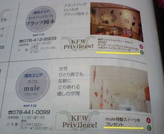 KFW2008 3