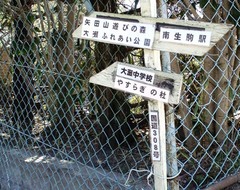 酷道308号線13