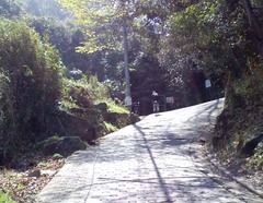 酷道308号線6