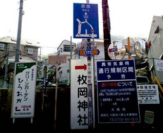 酷道308号線3