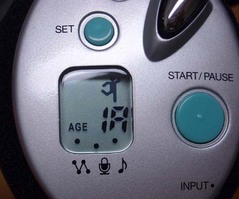 ¥«¥é¥À¥È¥ì¡¼¥Ê¡¼6