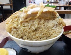 大力6