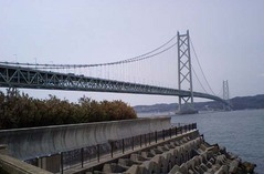 道路交通情報