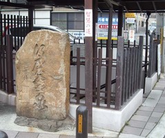 ���Ỷ������12