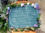 �Υ��룲