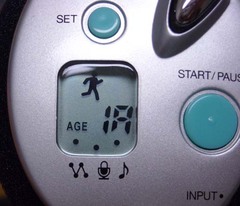 ¥«¥é¥À¥È¥ì¡¼¥Ê¡¼5