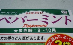ペパーミント3