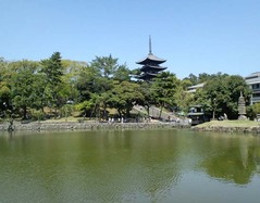 暗峠後10