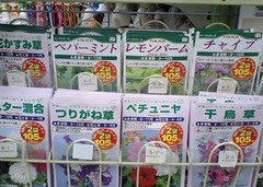 ペパーミント1