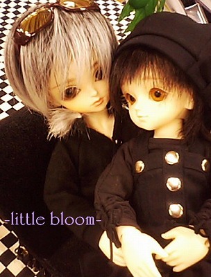 littlebloom
