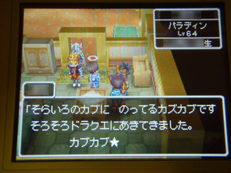 DQ03