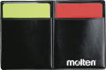molten CCS