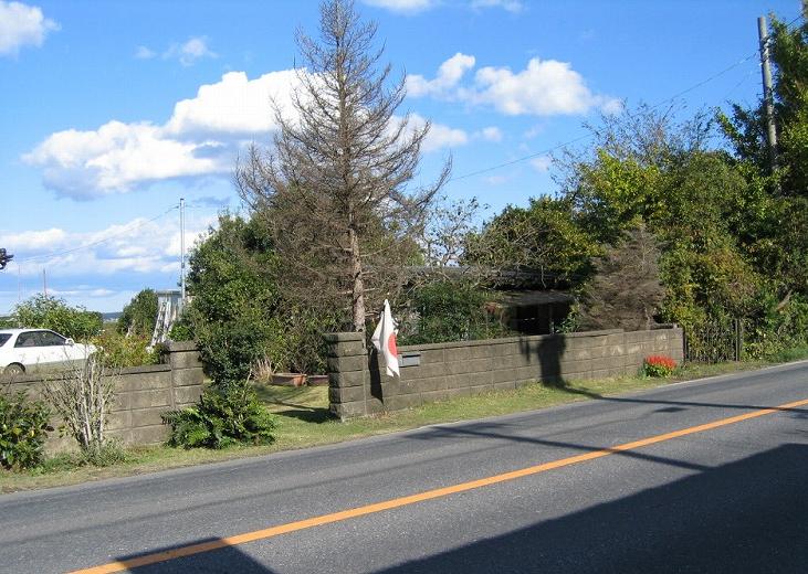 文化の日