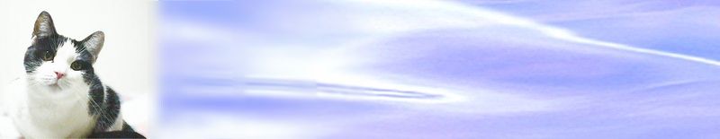 AQUAS¥Ø¥Ã¥À¡¼²èÁü