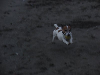 20100207-3