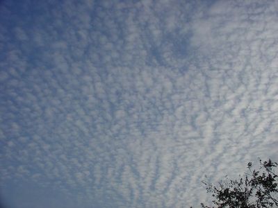 20091121-6