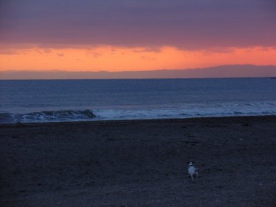 20100207-6