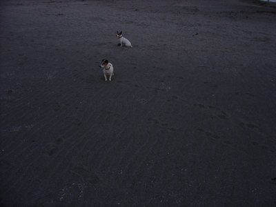 20091115-4