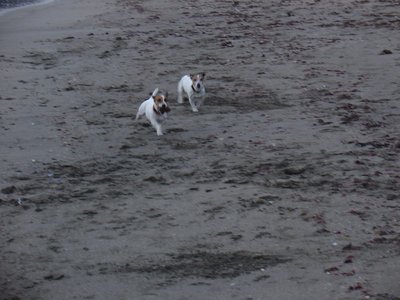 20100207-2