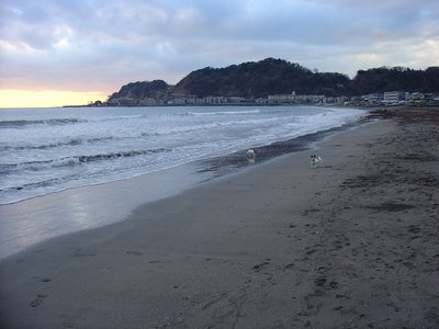 20100207-5