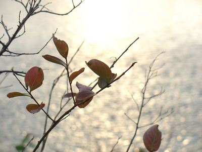 20091121-4