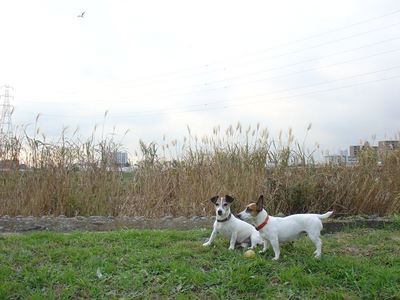 20091121-5