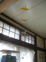 99afb4a0.JPG