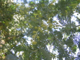 e8131419.JPG