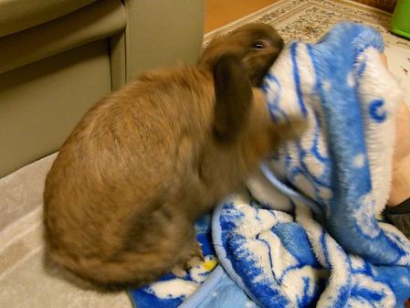���ۤ��臘