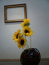 9376d6b8.jpg