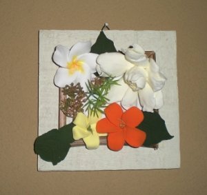 photo1