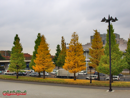 20091119-4