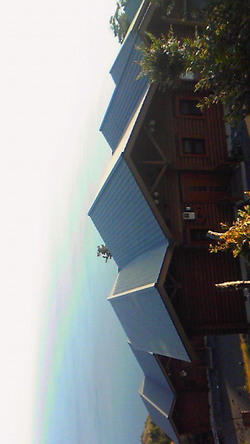0854e394.jpg