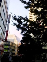 edf7da6d.jpg