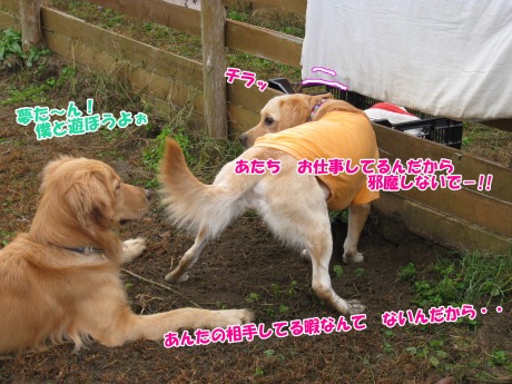 Ì´¡¡¥ä¥Þ¥È