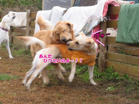 Ì´¡¡¥ä¥Þ¥È£³