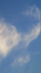 b8aac77d.jpg