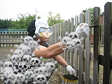 BlogPaint