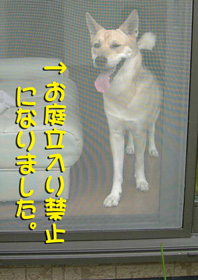 ¥³¥íÄí¤Ë½Ð¤¿¤¤¡Á