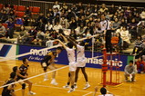 1aa689f5.jpg
