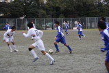 6321978a.jpg