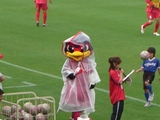 91355f09.jpg