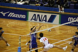 f5965c2a.jpg