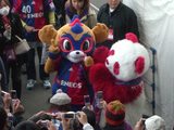 fdbd91a0.jpg