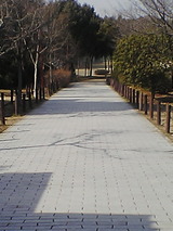 9c6db7cc.jpg