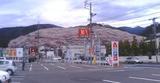 桜ヤマダ電機