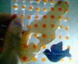 5fa9bc01.jpg