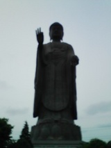8816c2f8.jpg