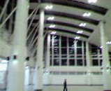 d121391b.jpg