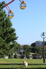 2009-11-15 005
